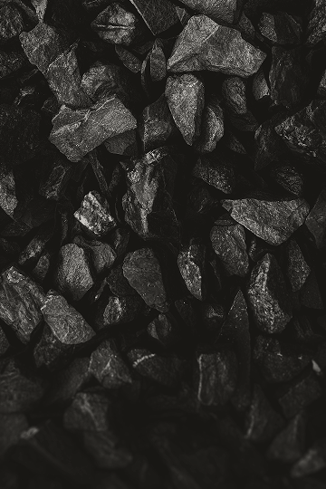Coal